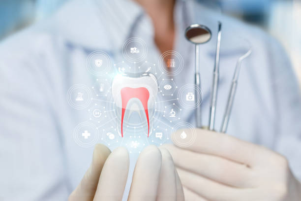 Best Dental Exams and Cleanings  in Chapel Hill, TN